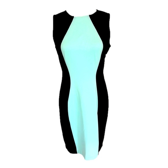 Boston Proper Dresses & Skirts - NWT Boston Proper Scuba Dress in Aqua & Black - Size 10